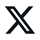  X logo